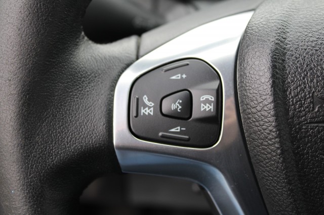 FORD ECOSPORT 1.0 125pk Titanium ECC/cruise/PDC/lichmet. velgen, Autobedrijf Roetert, Loenen