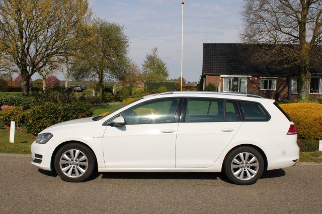 VOLKSWAGEN GOLF Variant 1.0 TSI 116pk Connected ECC/Navi/Camera/DAB/Trekhaak, Autobedrijf Roetert, Loenen