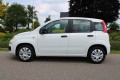 FIAT PANDA 0.9 TwinAir 60pk Edizione Cool 5-drs Airco/Elek ramen, Autobedrijf Roetert, Loenen
