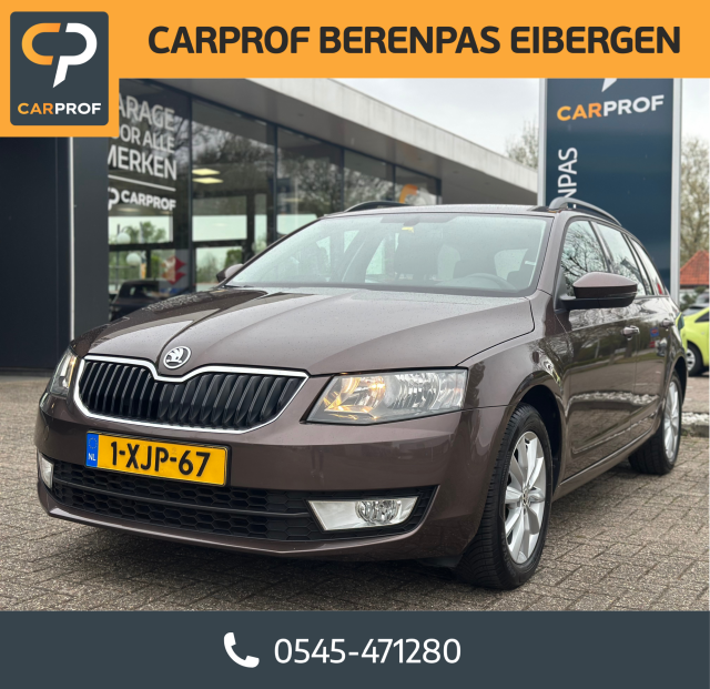 Skoda Octavia - 1.2 TSi Greentech Ambition Business '' Infotainmentsystem - Alls