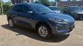 FORD KUGA 2.5 PHEV TITANIUM X / Trekhaak+Driver+Winter+Techno, WEGDAM Autoconsultancy, Losser