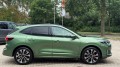 FORD KUGA 2.5 PHEV ST-LINE X 243pk / FULL OPTIONS / 20inch, WEGDAM Autoconsultancy, Losser