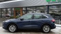 FORD KUGA 2.5 PHEV TITANIUM / Winter pack*, WEGDAM Autoconsultancy, Losser