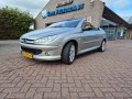 PEUGEOT 206 1.6-16V GRIFFE Autobedrijf Koos Pellegrom, Waardenburg