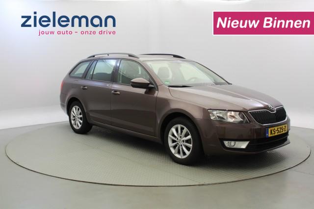 SKODA OCTAVIA 1.0 TSI Greentech Ambition Business , Autobedrijf Zieleman, Nieuwleusen