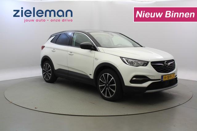 OPEL GRANDLAND X 1.6 Turbo Hybrid4 Business Executive, Autobedrijf Zieleman, Nieuwleusen