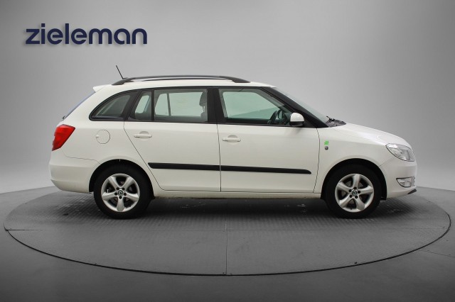 SKODA FABIA Combi 1.2 TDI Greenline Businessline - , Autobedrijf Zieleman, Nieuwleusen