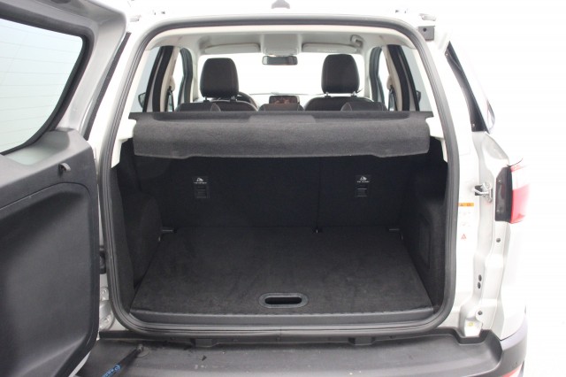 FORD ECOSPORT 1.0 EcoBoost Titanium - , Autobedrijf Zieleman, Nieuwleusen