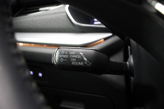 SKODA OCTAVIA Combi 1.5 TSI First Edition - , Autobedrijf Zieleman, Nieuwleusen