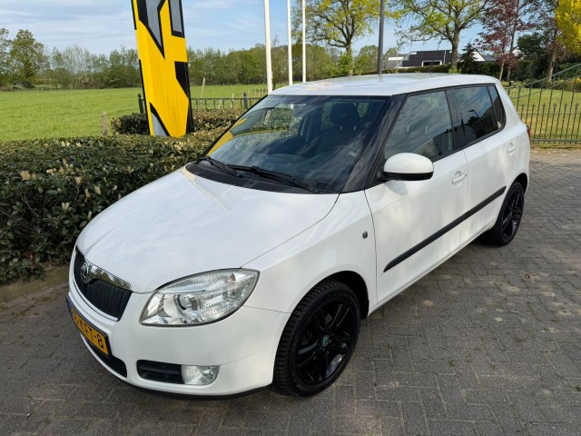 SKODA FABIA 1.6-16V Dynamic, Autobedrijf Krabbe, WEERSELO