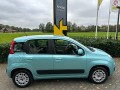 FIAT PANDA 0.9 TwinAir Edizione Cool Automaat, Autobedrijf Krabbe, WEERSELO