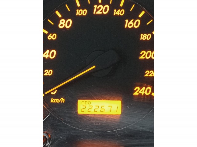 1746108268453015.JPG