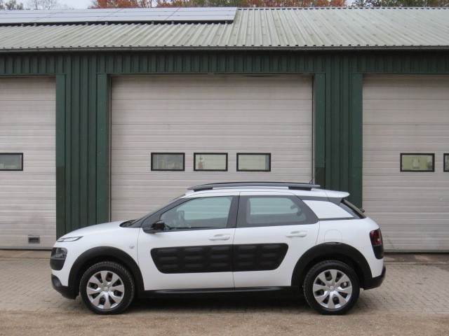 CITROEN C4 CACTUS 1.2 PureTech Feel, Autobedrijf Kuiper, Eefde