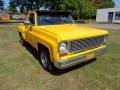 CHEVROLET C1500 a p k vrij belating vrij   V 8 Autoservice van Hout, Aarle Rixtel