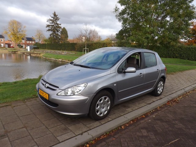 PEUGEOT 307 1.6-16V XT, The Carmaker, Maasbracht