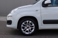 FIAT PANDA 0.9 TwinAir Popstar 80pk Airco, LM-Velgen, 1e eigenaar, Maurice Opreij Auto's B.V., Margraten