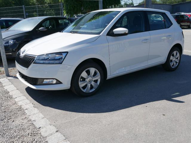 Skoda Fabia - III 1.0 TSI DSG CLEVER * PARKTRONIC SIT...