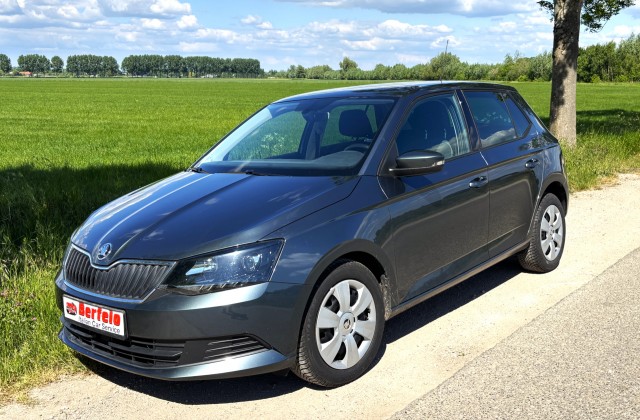 SKODA FABIA 1.2 TSI Ambition, Berfelo Italian Car Service, Giesbeek