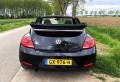 VOLKSWAGEN BEETLE Cabriolet 1.2 TSI Design Blu Motion , Berfelo Italian Car Service, Giesbeek