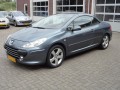 PEUGEOT 307 2.0i16v Cabrio ,Ecc ,Lmv ,Navi, Automobiel- en Garagebedrijf J.A. Van Den Eijnden, Liessel