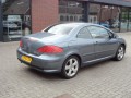 PEUGEOT 307 2.0i16v Cabrio ,Ecc ,Lmv ,Navi, Automobiel- en Garagebedrijf J.A. Van Den Eijnden, Liessel