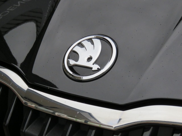 SKODA FABIA 1.0 TSI 95PK Ambition / Navi / Cruise / BOVAG garantie, Garage Groenouwe, Bathmen