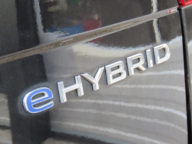 VOLKSWAGEN TIGUAN 1.4 TSI 245pk eHybrid Elegance / Trekhaak / IQ Light / Stoel + stuurverw. / Camera / BOVAG garantie, Garage Gr