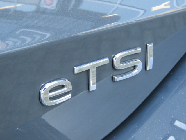 VOLKSWAGEN TIGUAN 1.5 eTSI 150pk DSG-aut. GOAL / 20 Inch / Trekhaak / Zwarte hemel / FABRIEKS garantie, Garage Groenouwe, Bathme