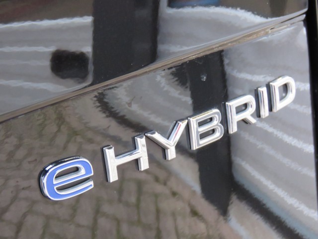 VOLKSWAGEN TAYRON 1.5 EHYBRID LIFE ED., Garage Groenouwe, Bathmen