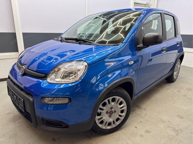 FIAT PANDA EDITION KOPFSTÜTZEN AUF RÜCKBANK PDC KL... Autosoft BV, Enschede