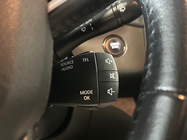 RENAULT SCENIC 1.3 TCE LIMITED l 7PRS l NAP l AUTOMAAT l PANORAMA l CAMERA l NAVI l , SK Autos, Emmen