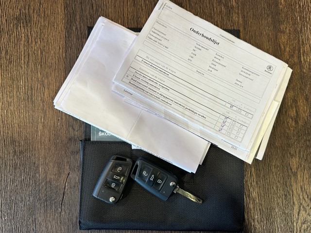 SKODA FABIA 1.0 TSI CLEVER l NAP l NAVI l TREKHAAK l STOELVERW l PDC l CLIMA l , SK Autos, Emmen