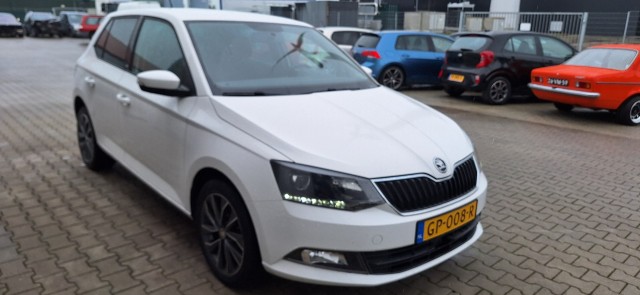 SKODA FABIA Edition Autobedrijf van der Meer, 9073 GN Marrum