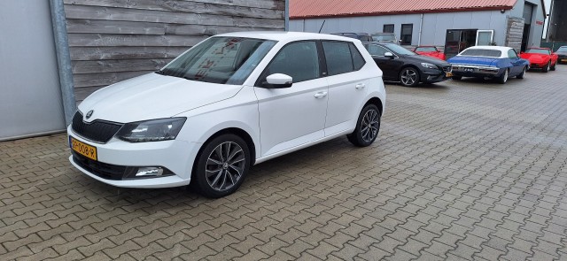 SKODA FABIA Edition, Autobedrijf van der Meer, Marrum