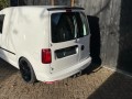 VOLKSWAGEN CADDY Volkswagen Caddy, Viii Edition, 185 PK, Apple Carplay, leer, Viii Auto's, Beckum