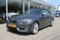 BMW 2-SERIE 218I LUXURY / leder / nederlandse auto, Autobedrijf Karel Hol, Mill