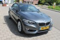 BMW 2-SERIE 218I LUXURY / leder / nederlandse auto, Autobedrijf Karel Hol, Mill