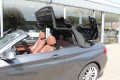 BMW 2-SERIE 218I LUXURY / leder / nederlandse auto, Autobedrijf Karel Hol, Mill