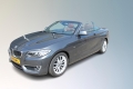 BMW 2-SERIE 218I LUXURY / leder / nederlandse auto, Autobedrijf Karel Hol, Mill