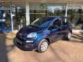 FIAT PANDA 0.9 TWINAIR Lounge , Bronckhorst autos, Ruurlo