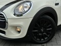 MINI COOPER Cabrio 1.5 Pepper Serious Business Camera 16 inch PDC, Van den Noort Automotive, Haaren