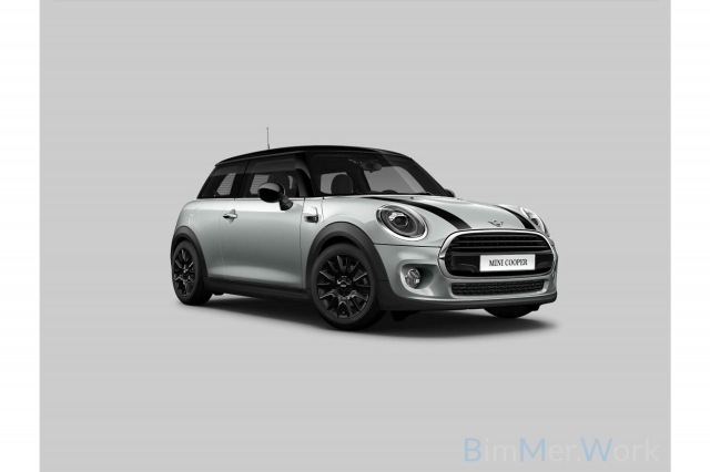 MINI MINI - 1.5 Cooper Pepper