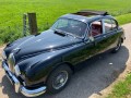 JAGUAR MK II , Zanzio Classics, Andelst