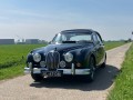 JAGUAR MK II , Zanzio Classics, Andelst