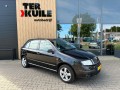 SKODA FABIA 1.4-16V Spirit+ / APK tot 2025-11-18, Autobedrijf Ter Kuile, Enschede