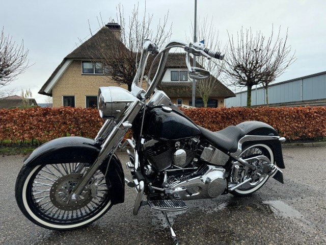 HARLEY-DAVIDSON harley heritage Mexican style 5HD