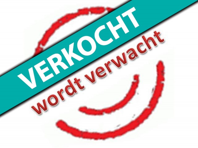 Ford Focus - 1.0 First Edition