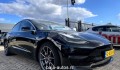 TESLA MODEL 3 STND.RWD PLUS 60 KWH, Baja Auto's, Losser