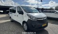 OPEL VIVARO 1.6 CDTI L2H1 SP ECO, Baja Auto's, Losser