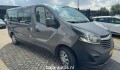 OPEL VIVARO 1.6 CDTI L2H2 ED ECO, Baja Auto's, Losser